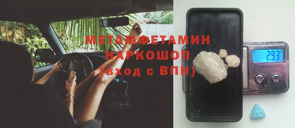 ГАЛЛЮЦИНОГЕННЫЕ ГРИБЫ Абаза
