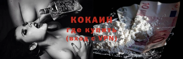 ГАЛЛЮЦИНОГЕННЫЕ ГРИБЫ Абаза