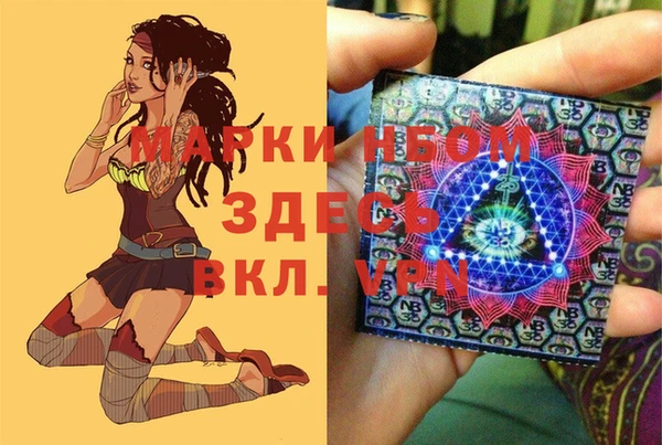 ГАЛЛЮЦИНОГЕННЫЕ ГРИБЫ Абаза