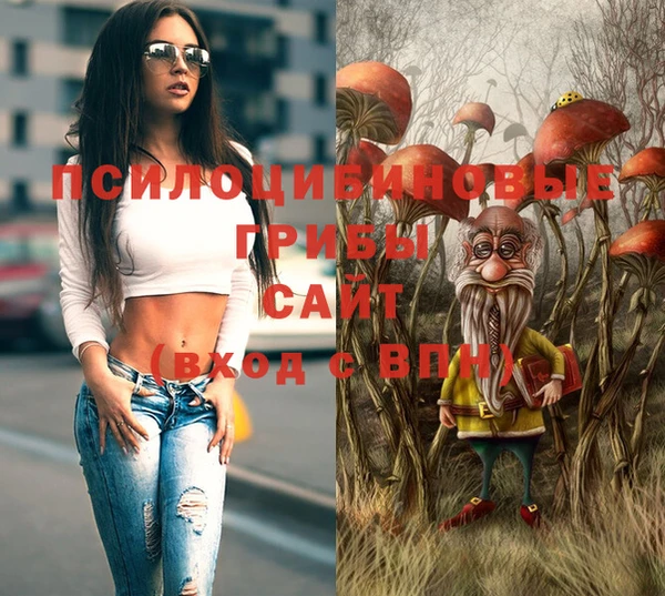 стафф Алексин