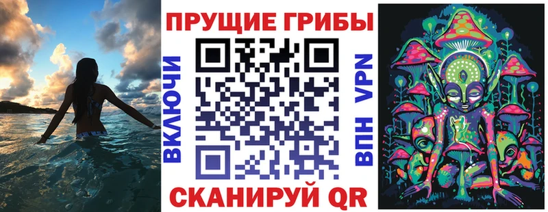 kraken зеркало цена наркотик Орёл Галлюциногенные грибы Magic Shrooms